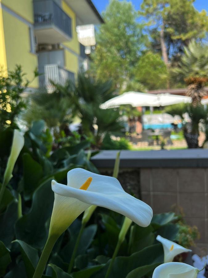 Hotel Ai Pini Градо Екстер'єр фото